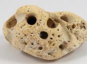 Piedra Bruja: amuletos naturales poderosos.