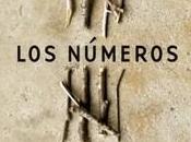 «Los números hicieron como somos», Caleb Everett