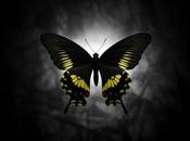 Entropistas comparte nuevo álbum