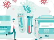 (Reacción Cadena Polimerasa)