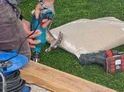 Aprender cómo poner césped artificial paso paso; Albergrass refuerza programa para instaladores