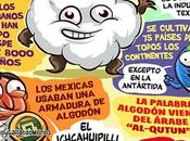 poco todo