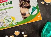 Protección para gato pipetas repelentes naturales
