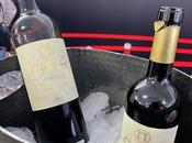 Bodegas Gancedo último Gran Premio MotoGP 2025