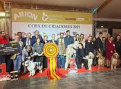 Primera Copa Criadores 2025 celebra edición histórica premia pastor australiano Once Life Time Noval