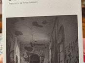 Reseña descenso, Anna Kavan