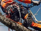 Poda árboles altura: técnicas, criterios seguridad para mantenimiento eficiente