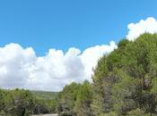 Cátedra Tajo UCLM-Soliss insta nueva reglas trasvase respetuosas regulación embalses