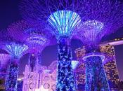 exhibiciones luces mágicas mundo