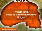 Amazings Atapuerca 2012