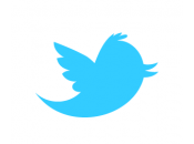 Actualizado: Twitter v.3.0.0.16