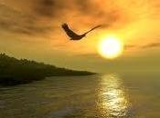 Animarse volar….