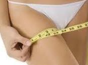 Operación Bikini 2012: Alimenta masa muscular activa metabolismo corporal (apto para vegetarianos)