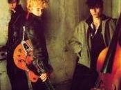 Stray cats stray
