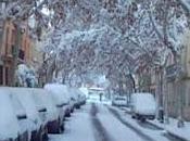 teleasistencia áreas diseminadas