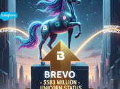 Brevo convierte unicornio tras recaudar millones dólares alista para desafiar gigantes