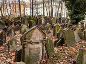 Ante muerte Frank Gehry