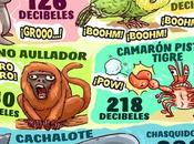 Cositas reino animal