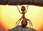 eres mayor motivación