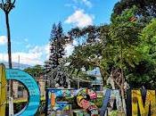 Desamparados busca Campeón 2026 partir este domingo