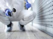 Aumentan plagas negocios españoles; expertos alertan riesgo económico sanitario para empresas