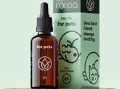 Feel Cocoa revoluciona bienestar canino línea natural para perros