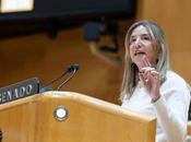 pide comparecencia Cuerpo Senado ante Navidad cara historia»