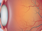 Hipertensión sistémica circulación retiniana.