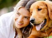 Mascotas Dama refuerza presencia como referencia cuidado productos para animales