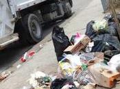 Refuerza Villa Pozos labores recolección temporada decembrina