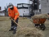 Gobierno Municipal mantiene mejoramiento colonias Capital