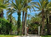 Cómo cambiado ocio Elche digital