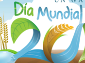 Mundial Agua 2012