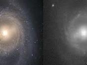 'nueva' estrella